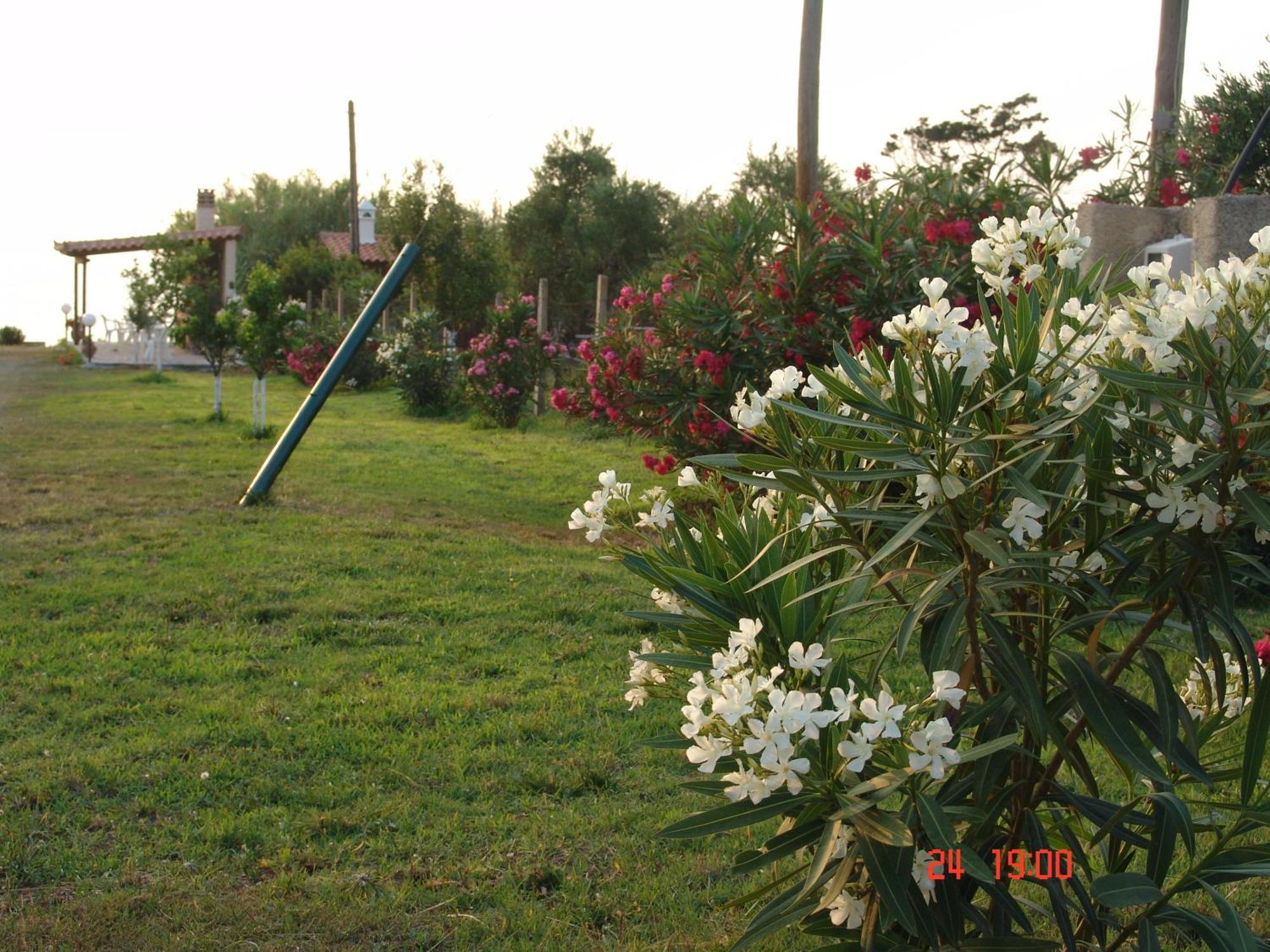 Terpsichore Apartments Kyparissia Bagian luar foto